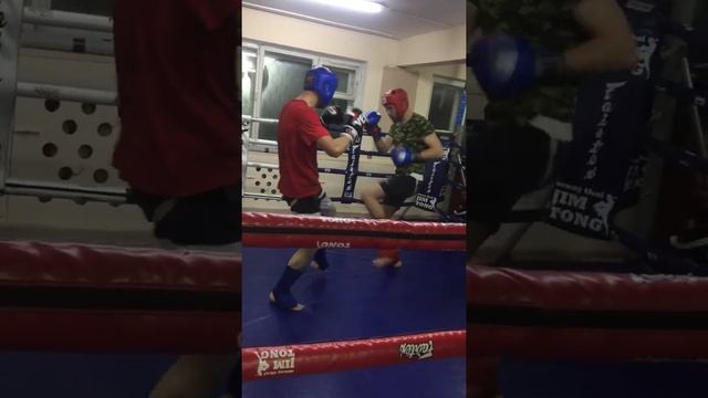 Муай тай тренировки спарринги смотреть онлайн