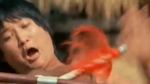 Непревзойденный мастер кунгфу