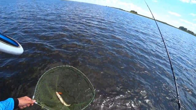 ОГРОМНЫЙ СУДАК на КВХ! смотреть онлайн