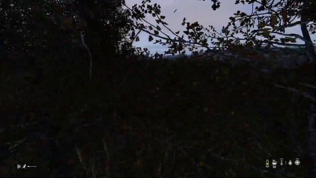 DayZ звуки природы PS5 смотреть онлайн