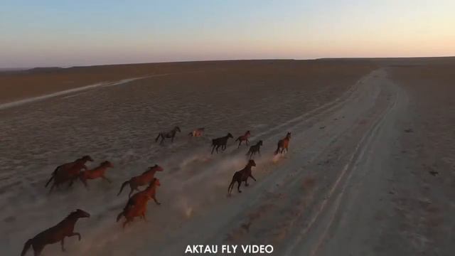 Великая Казахская степь смотреть онлайн