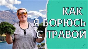 Жизнь в Краснодарском крае/Купили дом на юге/Наводим порядок после зимы