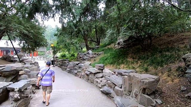 Массаж похлопываниями и утренняя зарядка Пекин парк Бэйхай смотреть онлайн