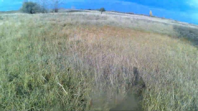 Очередная результативная охота на Зайца. смотреть онлайн