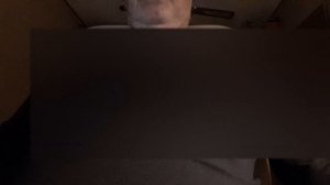 Сальвиа Дивинорум ( Salvia Divinorum ) Шалфей Предсказателей