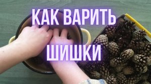 Как варить шишки_Варим сосновые шишки для поделок.mp4