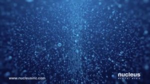 Оплодотворение. 3D анимация