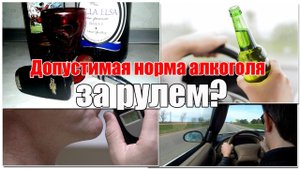 Допустимая норма алкоголя за рулем. Почему именно 0,16 промилле? Просто о сложном
