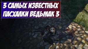 3 Самых известных пасхалки Ведьмак 3 на 100 %