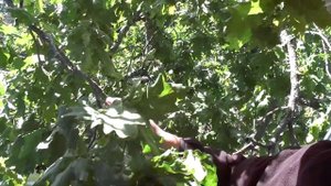 Сплав по реке Воронеж на ПВХ лодках часть2