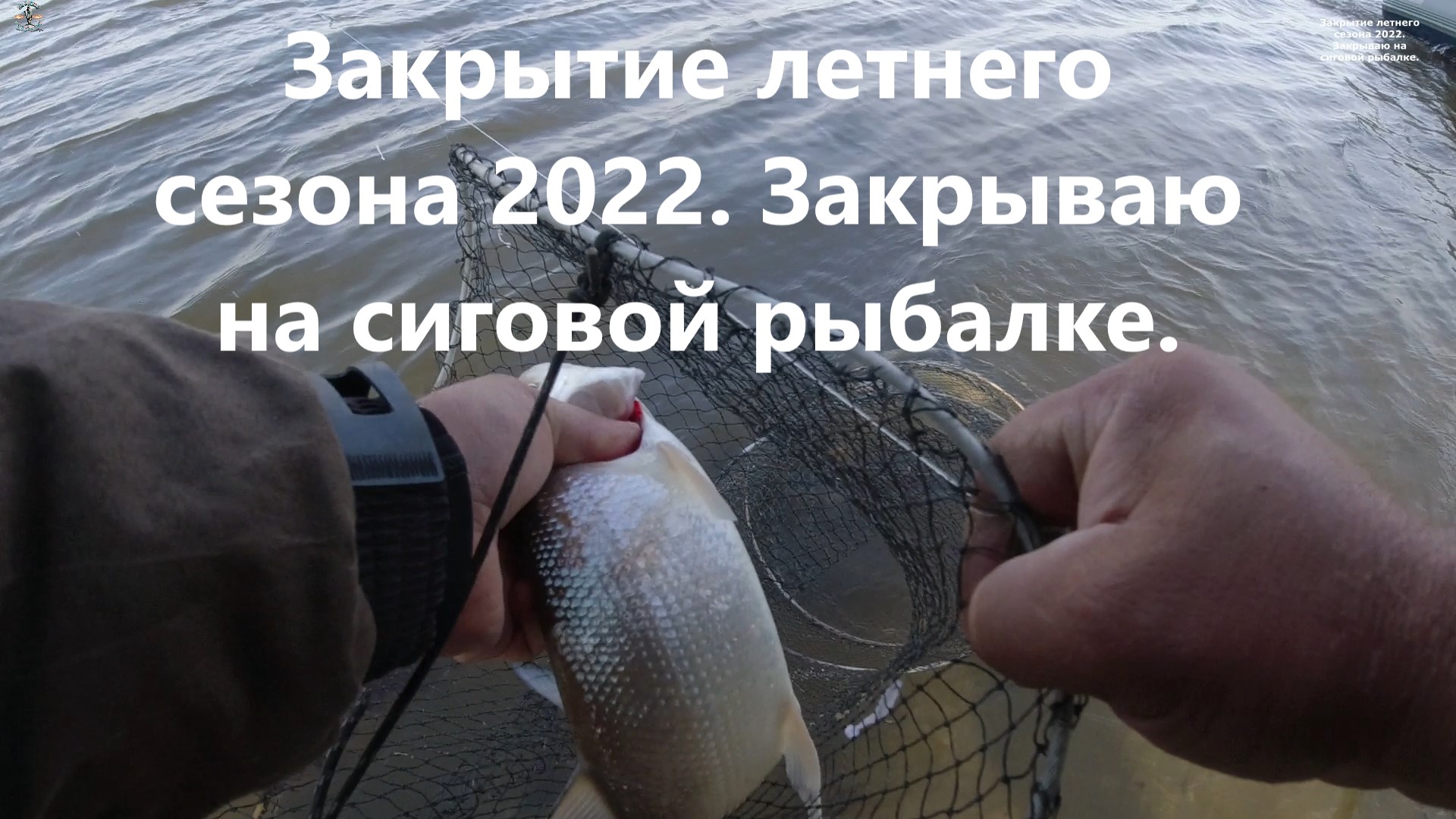 Закрытие летнего сезона 2022. Закрываю на сиговой рыбалке.