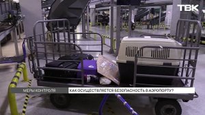 Как в красноярском аэропорту работает система безопасности?