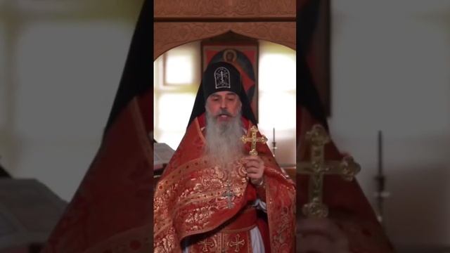 чревоугодие и разврат в наше время   схиигумен Гавриил  #religion