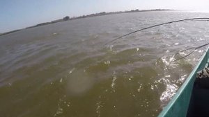 Мумра 2020. 03 октября - 13 октября