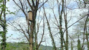 Национальный парк МТИРАЛА. Грузия.