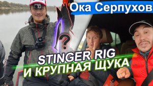 Постигая Stinger Rig. Крупная и не очень щука на Оке в Серпухове