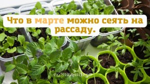 Что в марте можно сеять на рассаду.💐