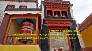 15 афоризмов Морихея Уэсибы