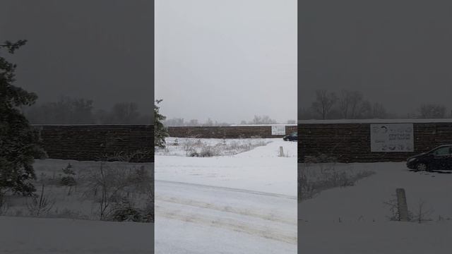 Утро 6 января в Киевской области. Приют для животных Сириус. смотреть онлайн