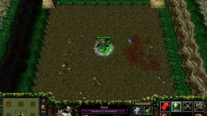 Warcraft III создай героя:то тащим,то не тащим№1