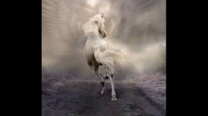 Аквариум - Лошадь Белая