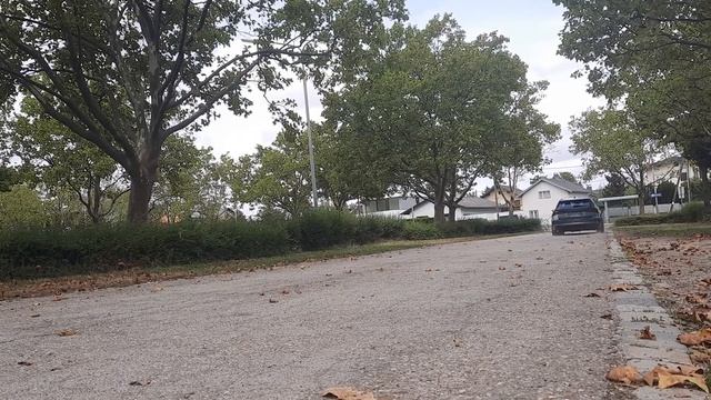 Skoda Octavia RS iV - FOX Duplex Abgasanlage ab OPF смотреть онлайн