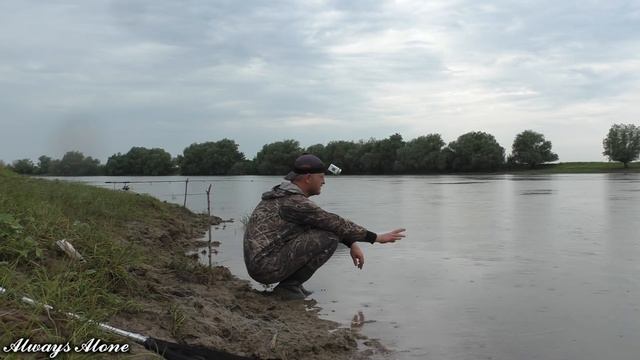 Бешенный клёв сазана на закидушки! Рыбалка в дождь. смотреть онлайн