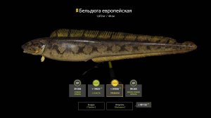 Русская рыбалка 4 Норвежское море Бельдюга европейская Трофей 34 банка