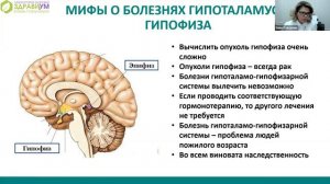 А, правда, что все нарушения щитовидной железы можно вылечить йодом? 🤔