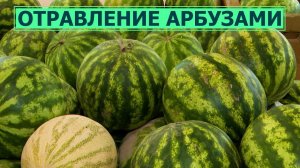 Специалисты фиксируют случаи отравления арбузами