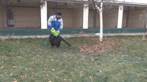 Садовый пылесос, во даёт...