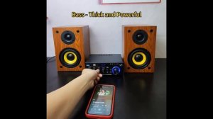 Цифровой Hi-Fi усилитель Woopker AK45