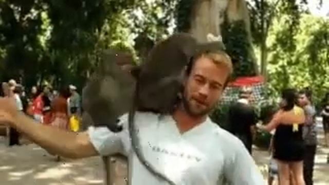 Обезьяны занимаются любовью на голове))) ЖЕСТЬ! смотреть онлайн