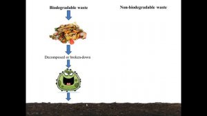 What is Bio-degradable and Non-biodegradable Waste?