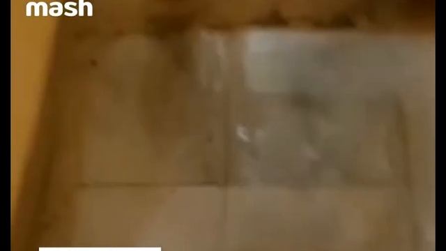 Стоит вода в подъезде? Пусть лучше в подвале! смотреть онлайн