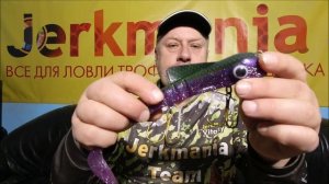 Особенности и классификация Буллдагов (Bull Dawg)