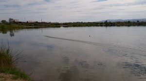 День ВМФ Улан-Удэнских судомоделистов.