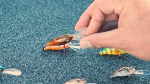 3D GOBY CRANK PHP 🔥 von Savage Gear mit Tom Heyer