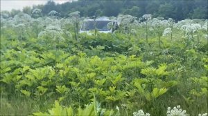 ТЕСТ ПО БЕЗДОРОЖЬЮ. ГАЗ Садко NEXT груженый с прицепом.