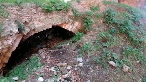 Костёл Пресвятой Девы Марии в деревне Смоляны. Руины костёла. Оршанский район.