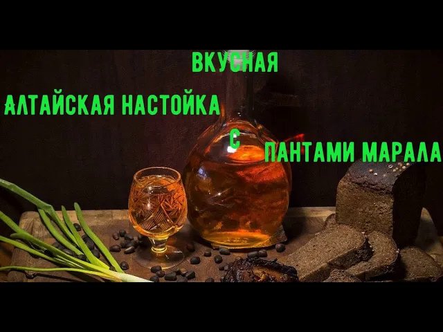 Вкусная алтайская настойка с пантами марала. (Ударение ставьте правильно))).