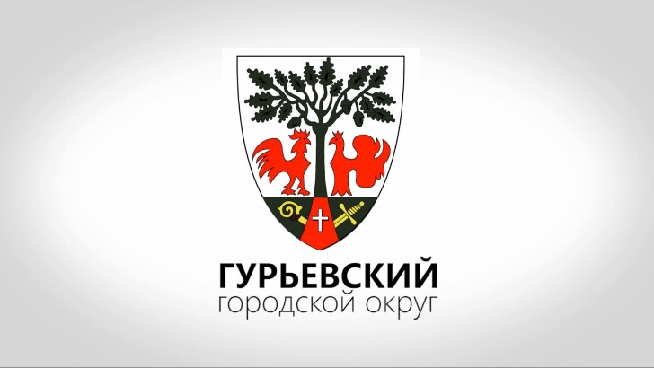 Гурьевский городской округ