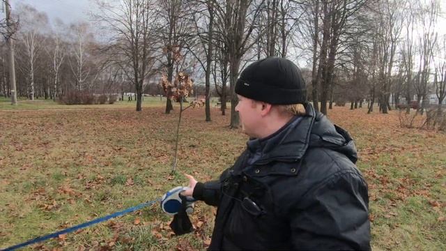 Уехал из деревни, чтобы прокормить семью смотреть онлайн