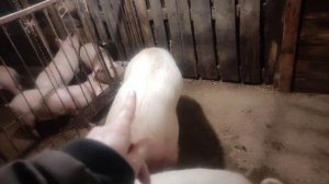 Съездила В ДРУГОЕ ИЗМЕРЕНИЕ,СЕМЬ ЧЕЛОВЕК ВЫПИЛИ ВЕДРО ВОДЫ