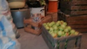 Сделали Соковыжималку Из Стиральной Машины, Выжжали Сок 200 Кг Яблок