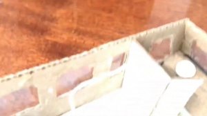 Паз Вектор Некст из картона (обзор).