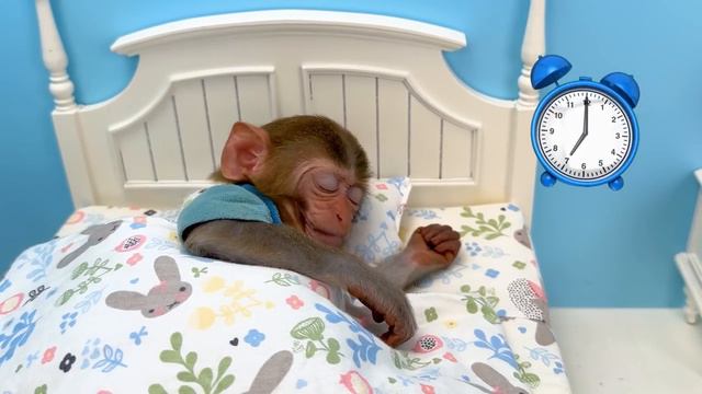 Monkey Baby Bon Bon сбегает из удивительного лабиринта ( обезьянка )