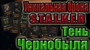 ВСЯ УНИКАЛЬНАЯ БРОНЯ В STALKER:ТЕНЬ ЧЕРНОБЫЛЯ.