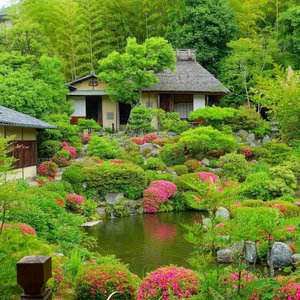 Как посадить растения правильно #garDen #orGanic