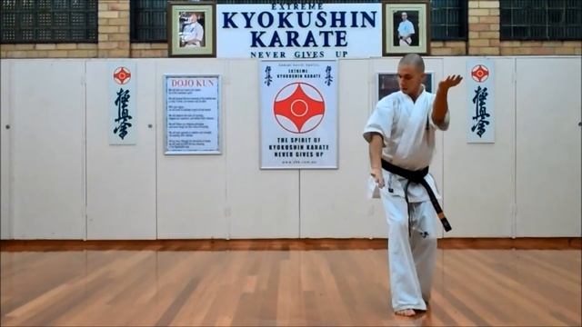 SAIFA (SAIHA) смотреть онлайн